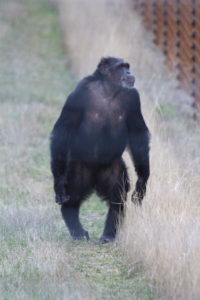 Jamie spying on neighbor