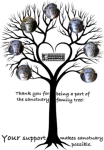 family tree