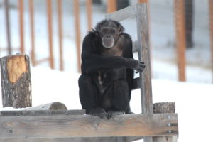 jamie sitting on structure