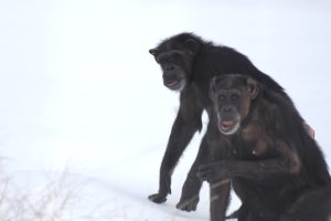 jody and annie in snow