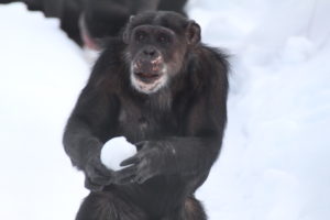 missy holding snow