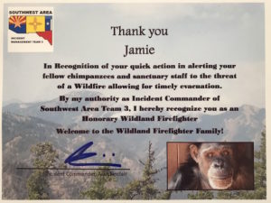 certificate for Jamie