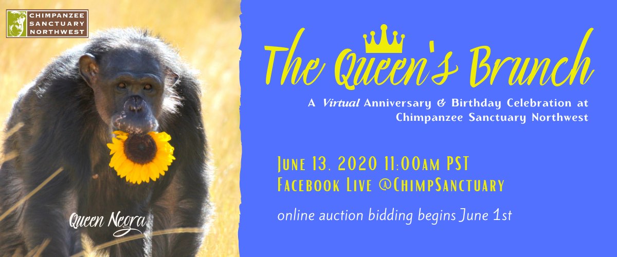 queen's brunch virtual event