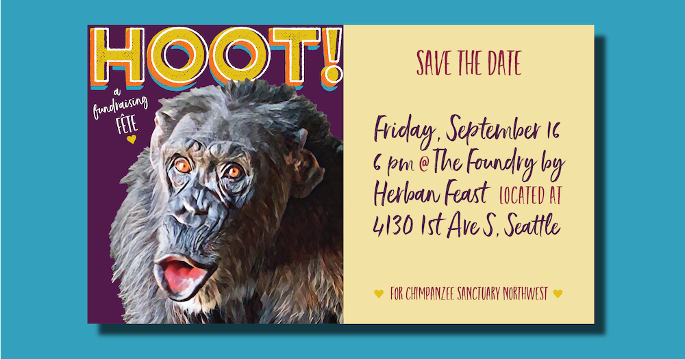 image with text: HOOT 2022 save the date