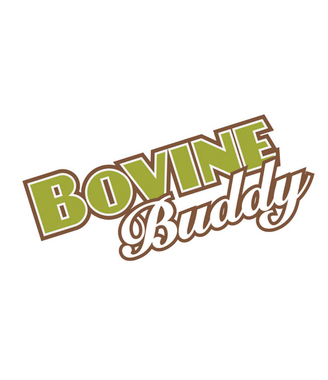 bovine-buddy01