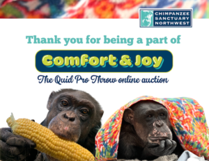 image: comfort joy thanks