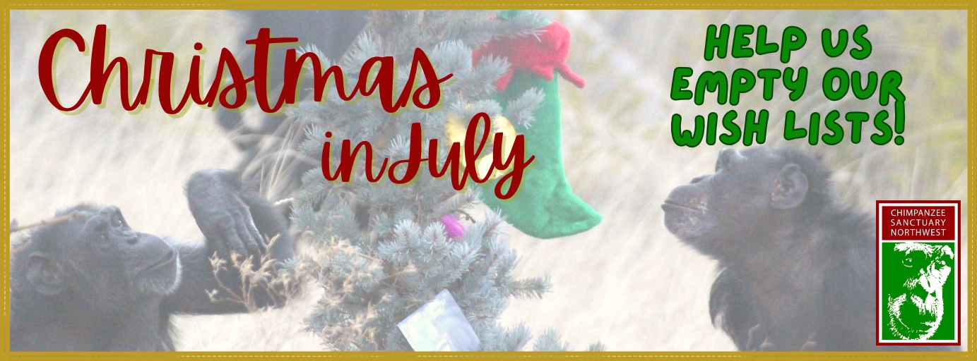 Christmas July 2024 (Facebook Cover) - 2